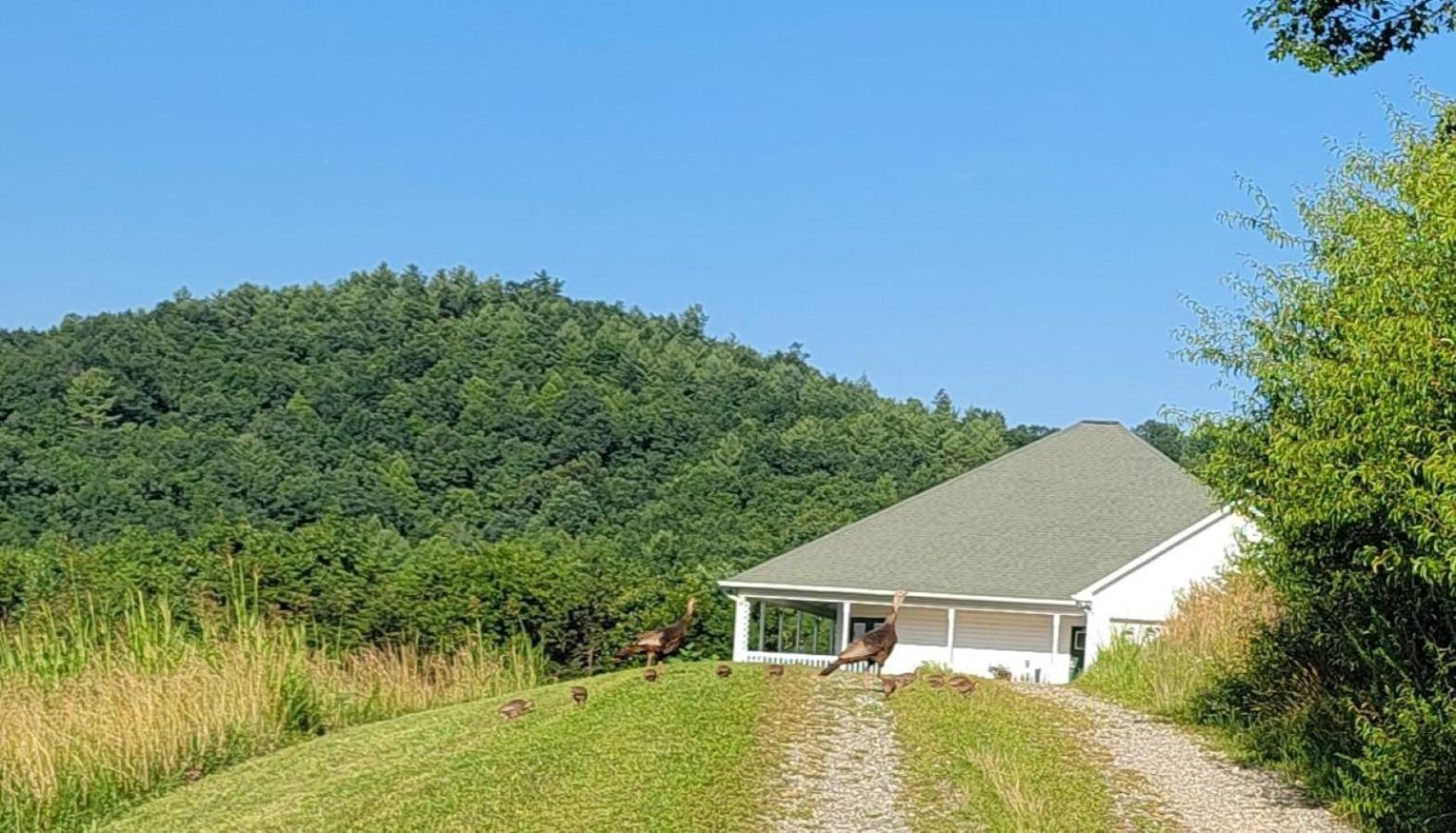 Mountain Retreat House To Relax And Enjoy Villa Lenoir Ngoại thất bức ảnh